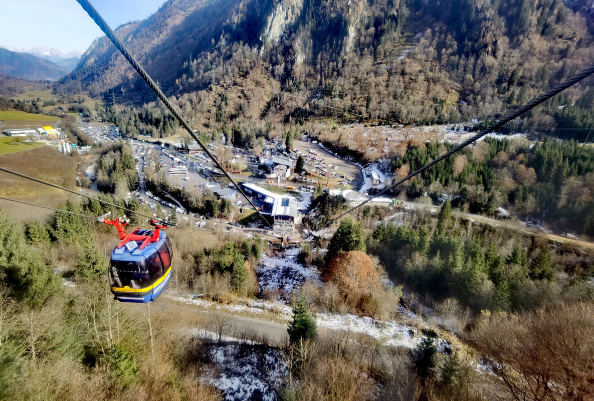 IMG_20211111_114238_edit_311129751463983