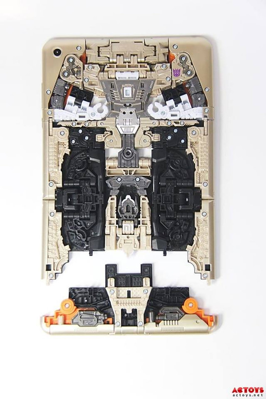 12931012_245122495838185_6388943258540990583_n