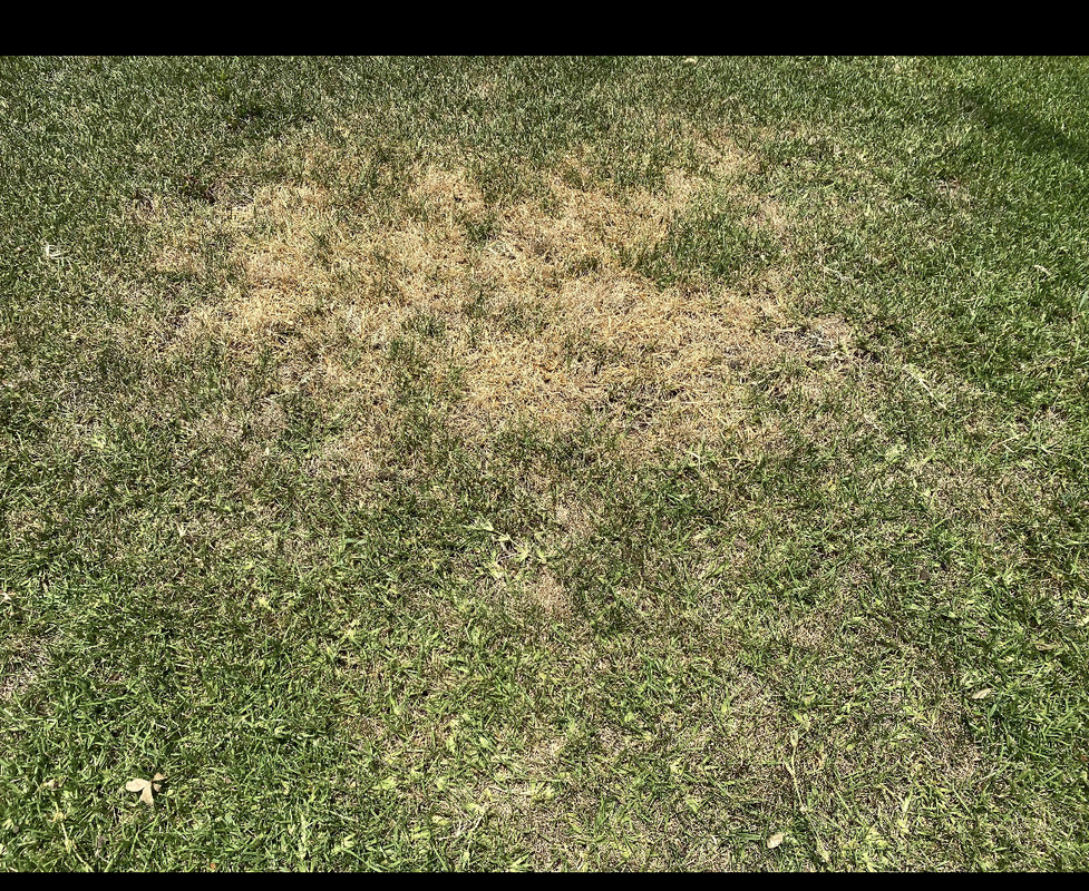 0B6347F5-6427-4211-9A09-D960827FD3BA