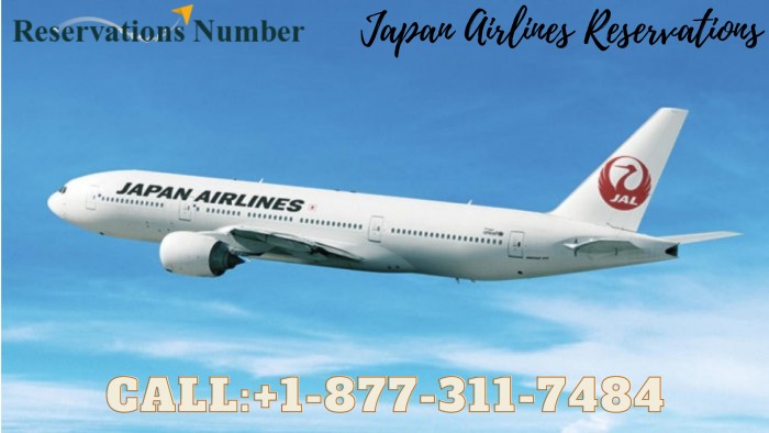 Japan Airlines Reservations (2)