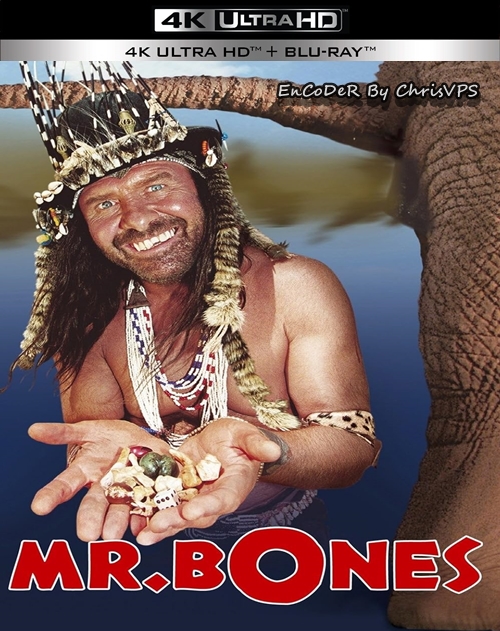 Mr. Bones (2001) PL.HDR.AI.UP.2160p.DVD5.AC3-ChrisVPS / LEKTOR PL