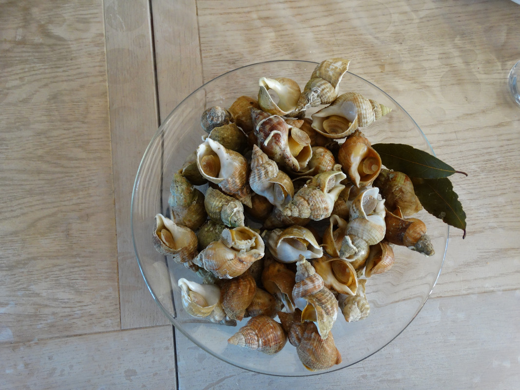 19.12b - DSC08767 (Czesio1)