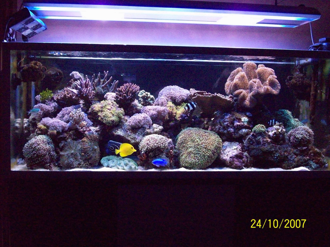 F612F674-9899-43D7-B785-DD48193767AB