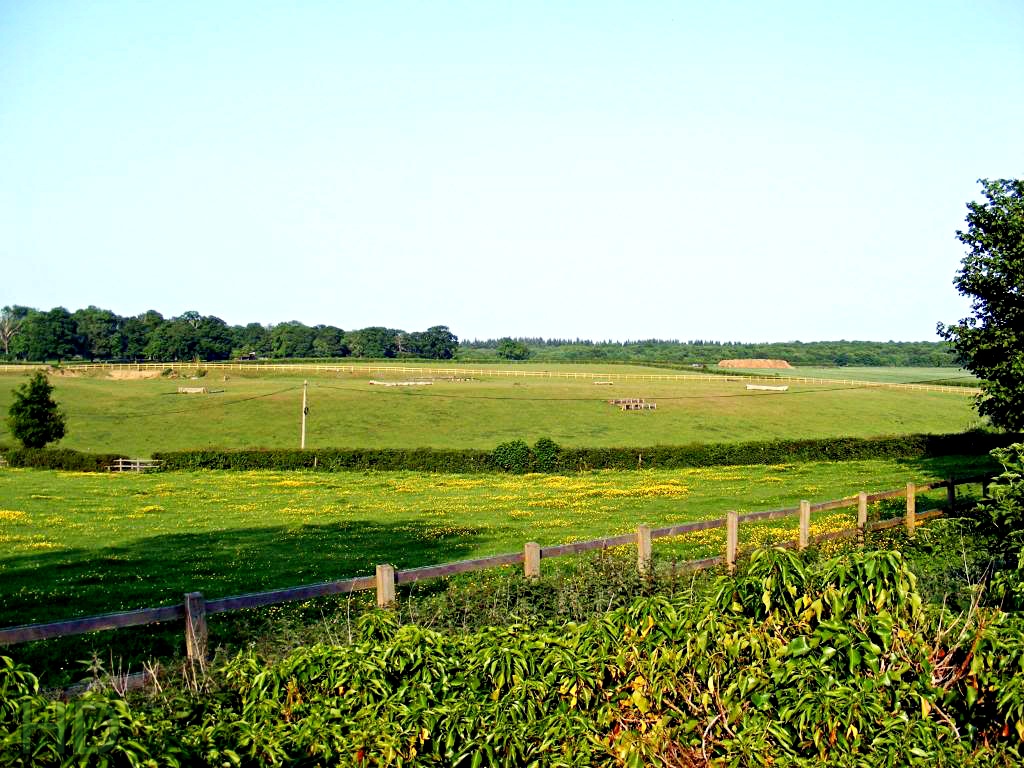paddocks-Tew-HD.jpg