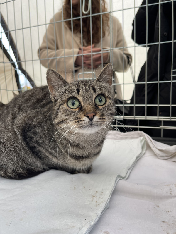 147BA572-B066-4D6F-AE9B-38C51CF2E262