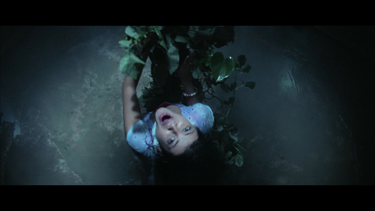 VideoCapture_20200405-200336