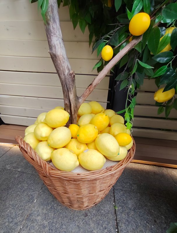 https://i.postimg.cc/SQZcCmYL/36-IMG-20250706-154620.jpg