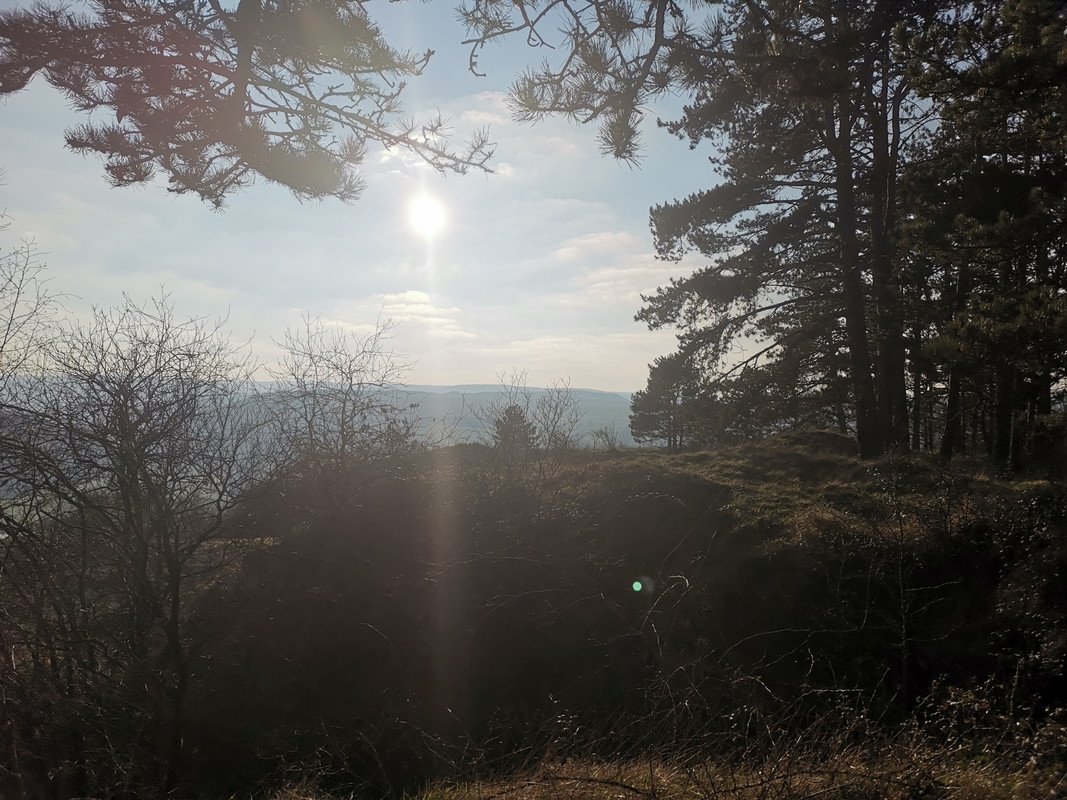 IMG 20230128 154151 — Postimages
