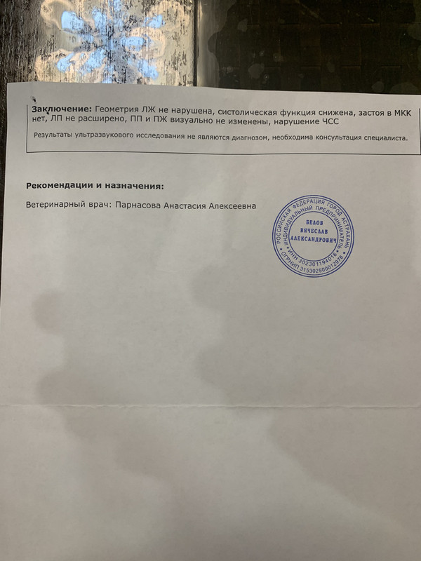 AD622ED5-37F2-413A-BB4F-675817B49BFD