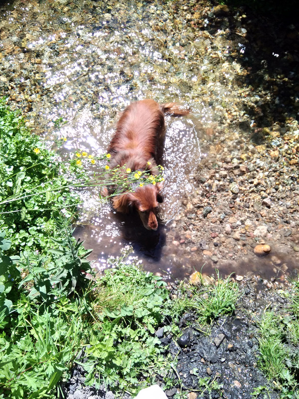 [Image: IMG-20220713-115136.jpg]