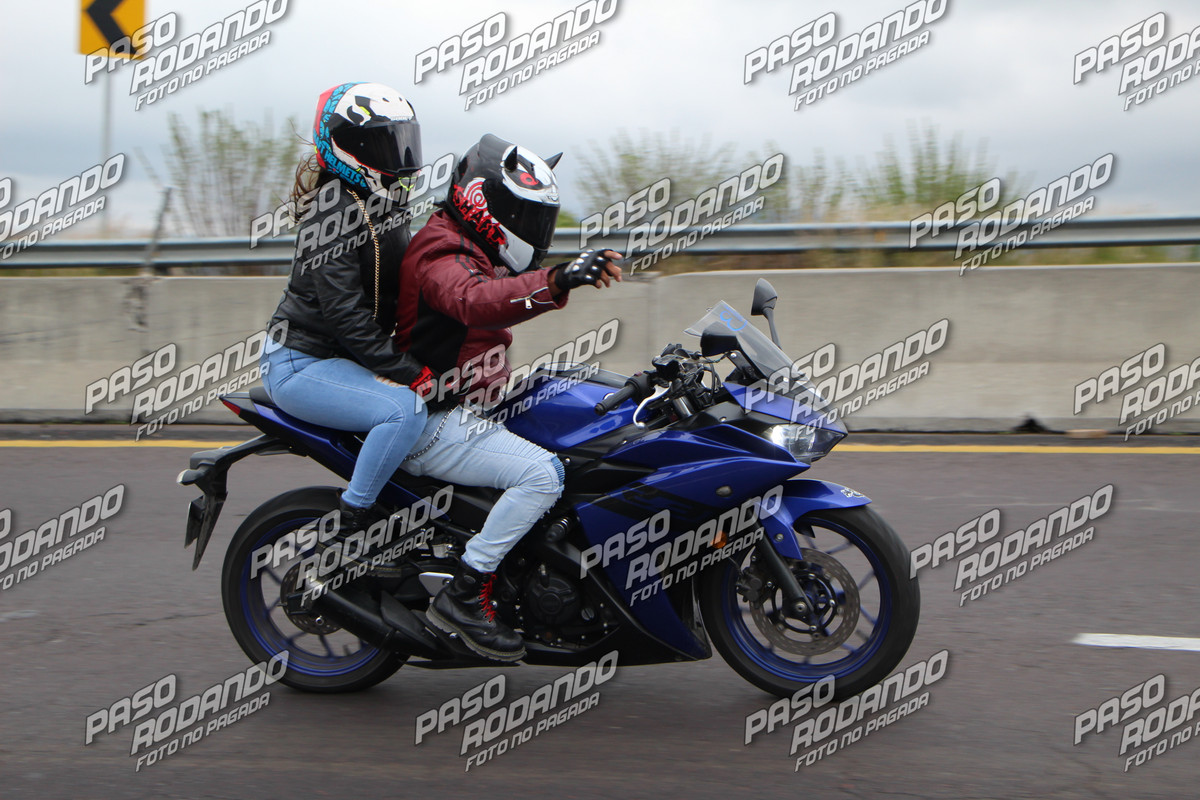 IMG 2072 wm 705259 5 watermarked — Postimages