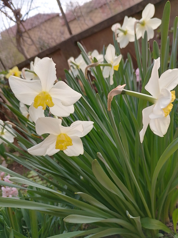 IMG_20240318_170200_HDR (1)