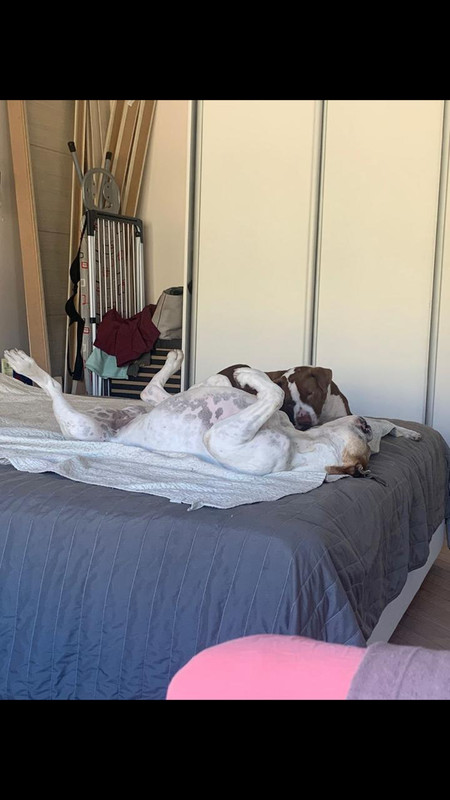 27076F23-2E79-4FC1-AD46-8DD788D34131