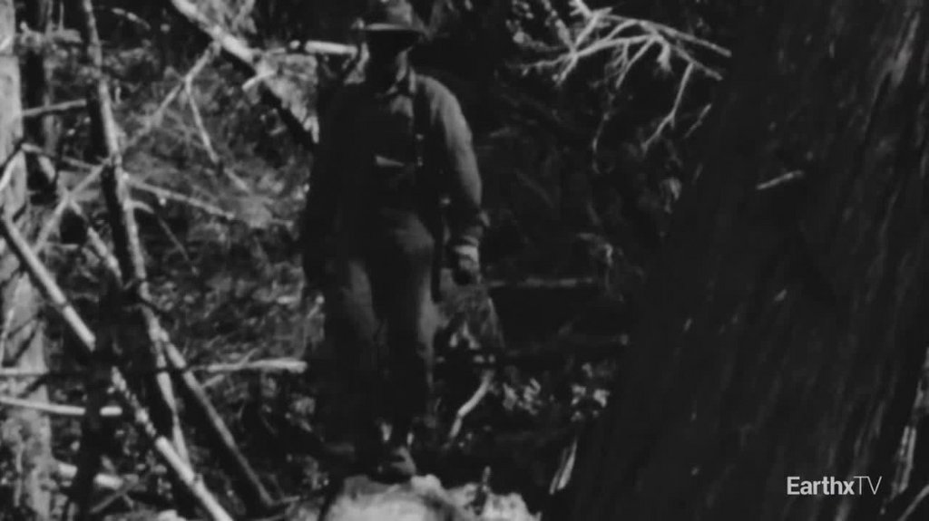 [Image: wmw32pxlc57k.jpg]