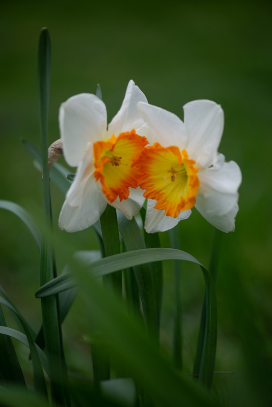 IMG-08b92c492934e26ac901ea4ee9b94ed3-V
