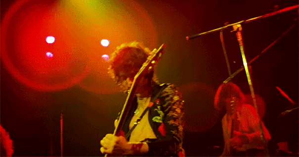 lz-live.gif