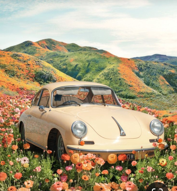 Screenshot_20240405_231009_Pinterest