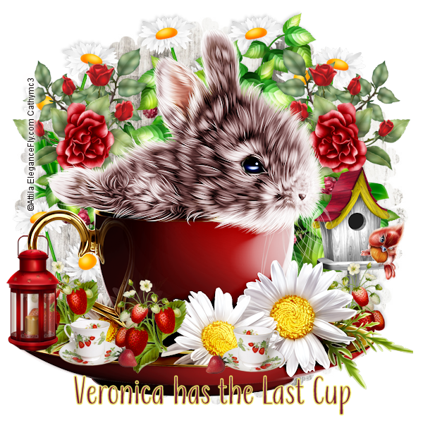 6378717687041760355103281