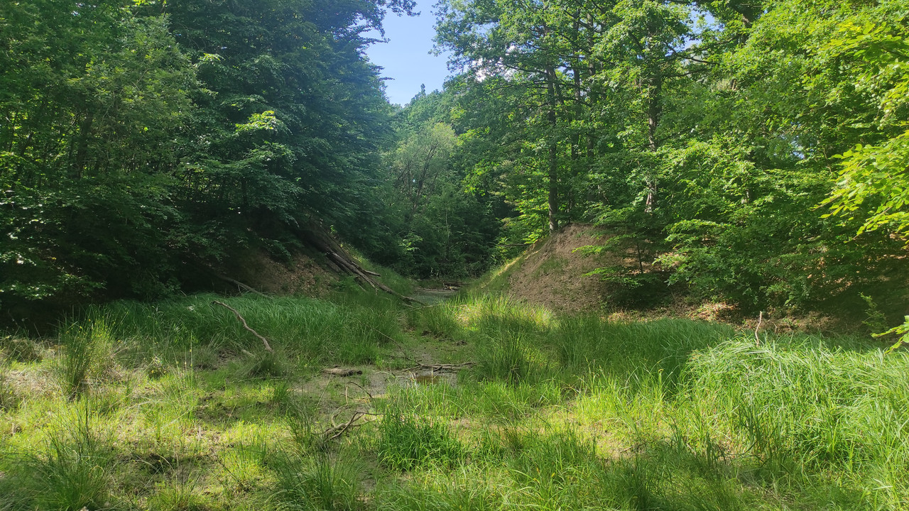 05.15 - IMG_20250619_161542 (Czesio1)