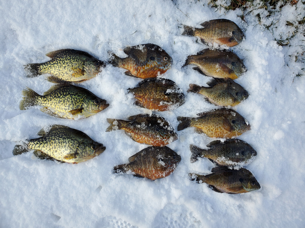 Song outing 2 14 2022