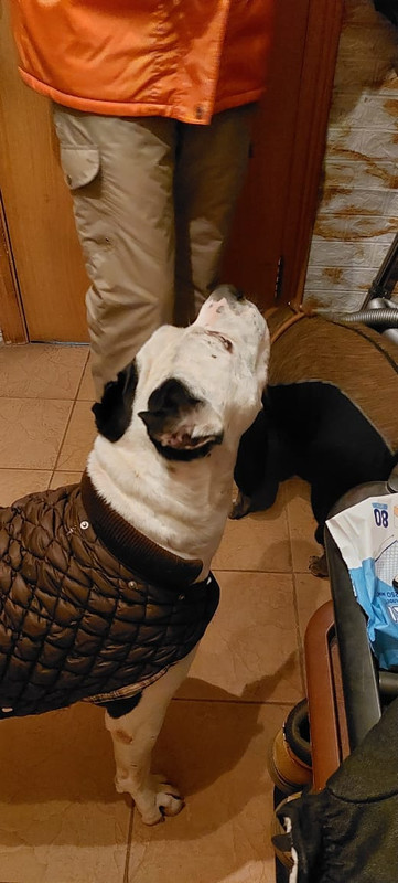 437C122E-EC73-4521-A8B4-5C2D2DD21DEA