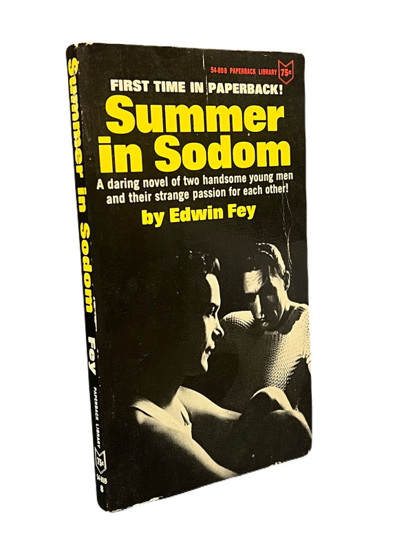 Image for Summer in Sodom 54-808 Summer in Sodom 54-808