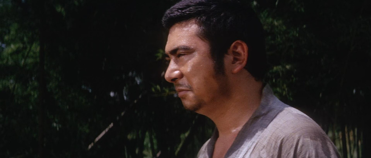 Zatoichi and the Doomed Man 1965 Criterion (1080