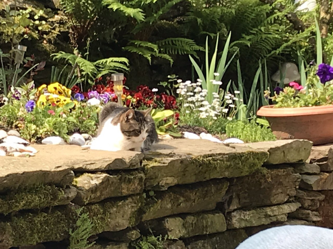 507C92D2-FFBA-4BFD-980E-E101FA3386CD