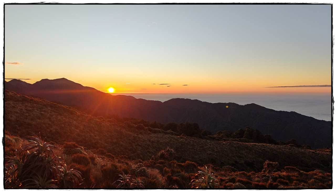 Paparoa NP: Paparoa Track (diciembre 2024) - Escapadas y rutas por la Nueva Zelanda menos conocida (23)