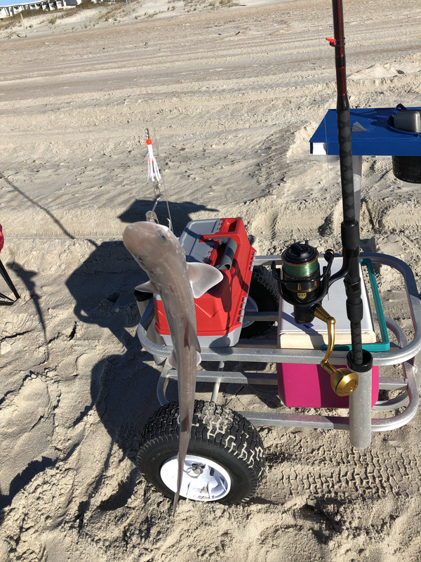 Atlanttic-Beach-1-6-2019-3.jpg
