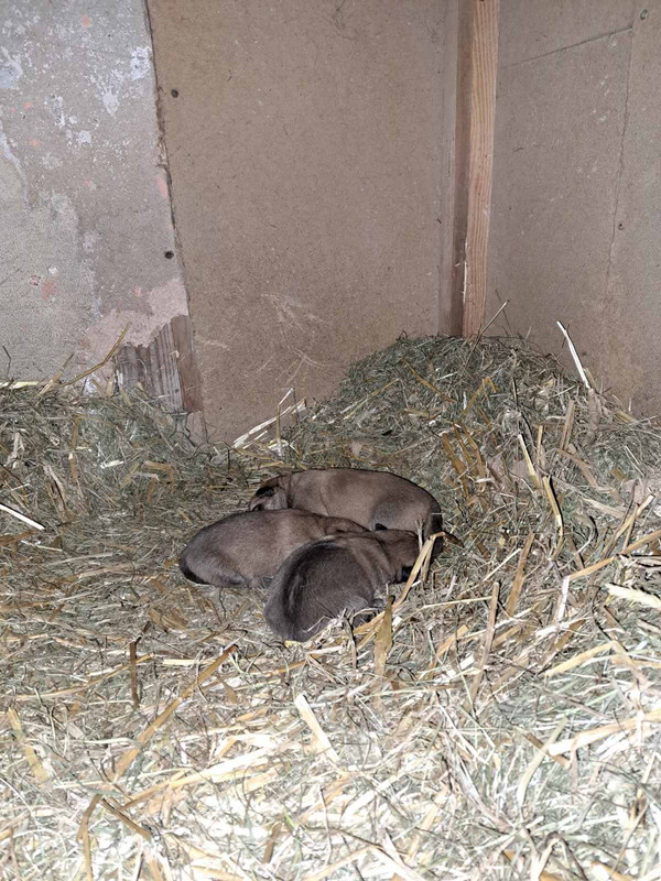 8D97D85A-8D1F-4F57-8729-0A42BFABFA04