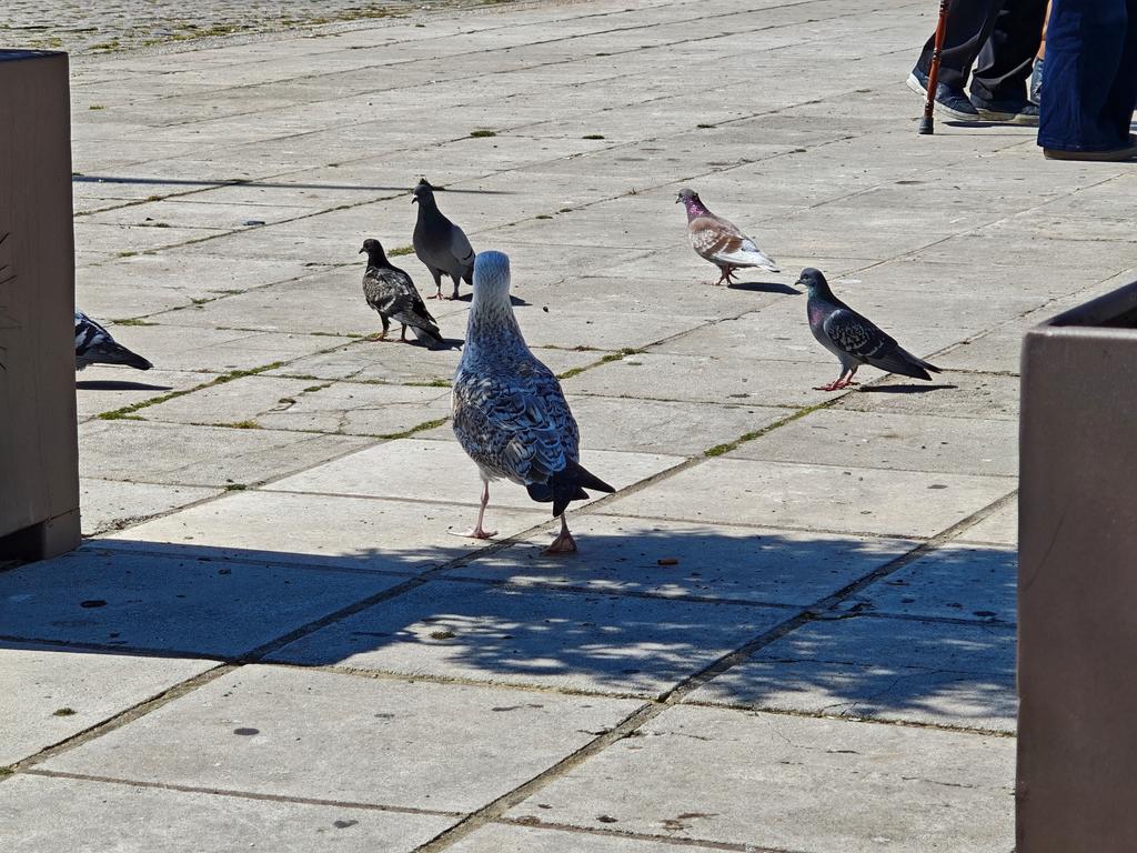 IMG 20260315 120223