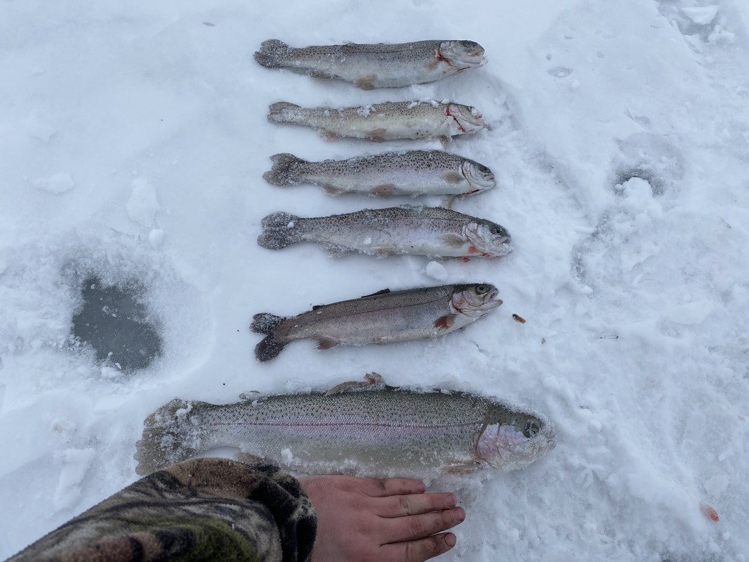 E5781567-6D4E-4EBA-BB19-4B69C70A97DB