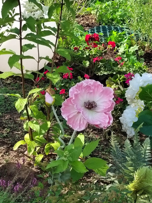 https://i.postimg.cc/SQfYQhVw/10-IMG-20250718-161804.jpg