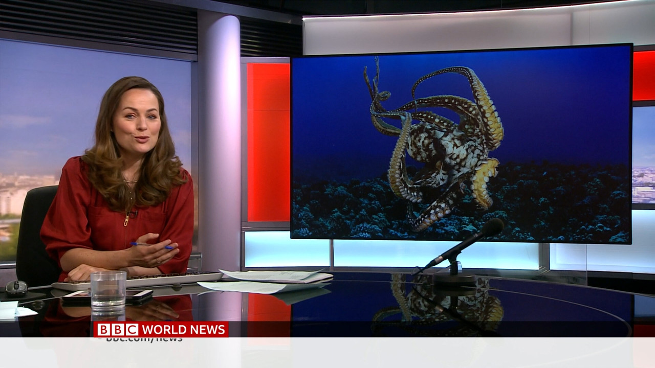 03.26 - 06.00.00 - BBC World News. International news from the Britis....ts_snapshot_23.00.611