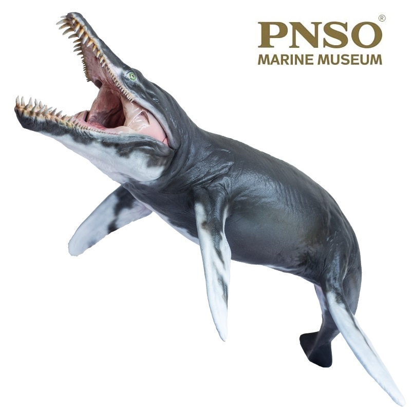 2021 Prehistoric Figure of the Year, CollectA Doedicurus and Xipahactinus,  PNSO-Kronosaurus