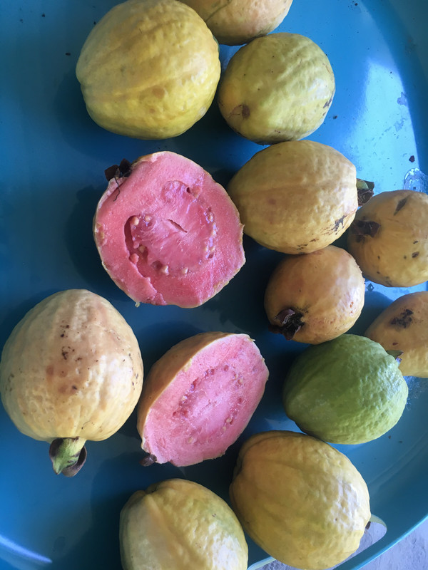 667BA5B8-0959-4E2A-9B41-7DF494F61D2E