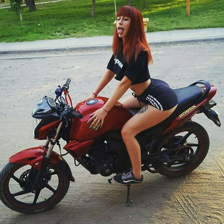 Bardxra-30