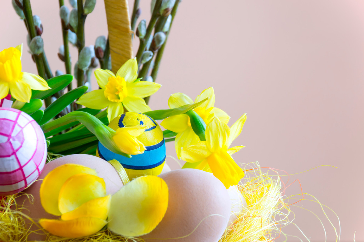yellow-easter.jpg