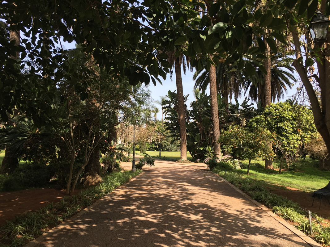 Que visitar en Rabat, Ciudad-Marruecos (157)