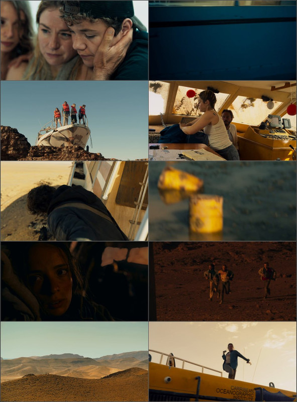 Survive (2024) Dual Audio [Hindi - English] Full Movie BluRay ESub screenshot