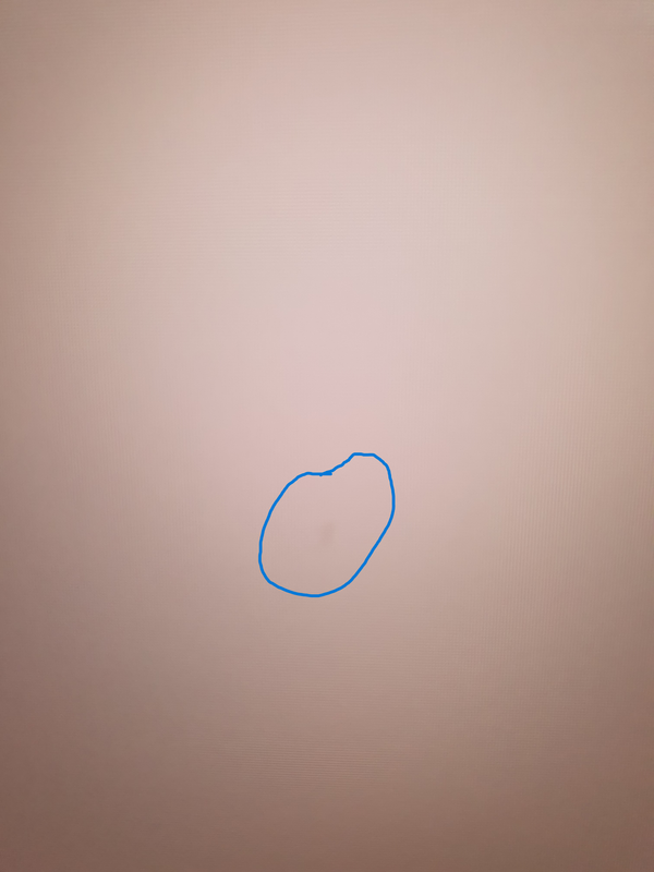 https://i.postimg.cc/SQgBfvmz/salet-1-hum.png