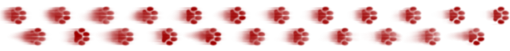 bloody paws