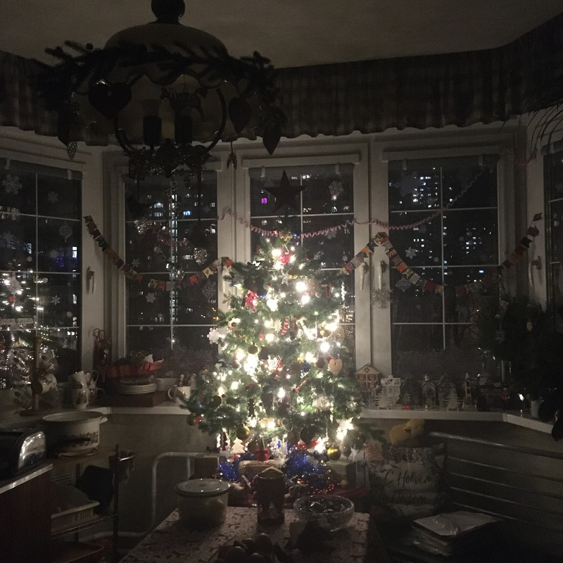 Разное Тимура Фрунзе, 20 Анина и посленовогоднее домашнее 003