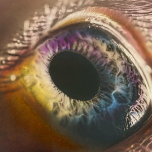 Re: Arcade Fire - Reflektor (2013/2020) [Hi-Res]