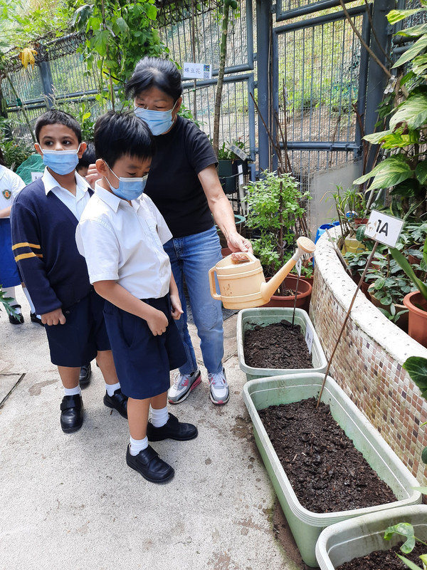 photo-littlefarmer2223-1A-016