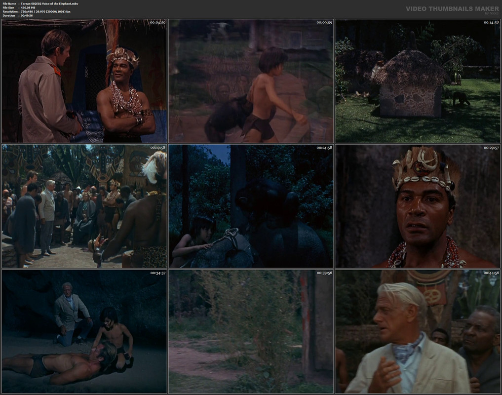 Tarzan S02E02 Voice of the Elephant.mkv