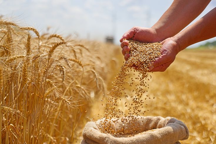 Agricultural Partnership