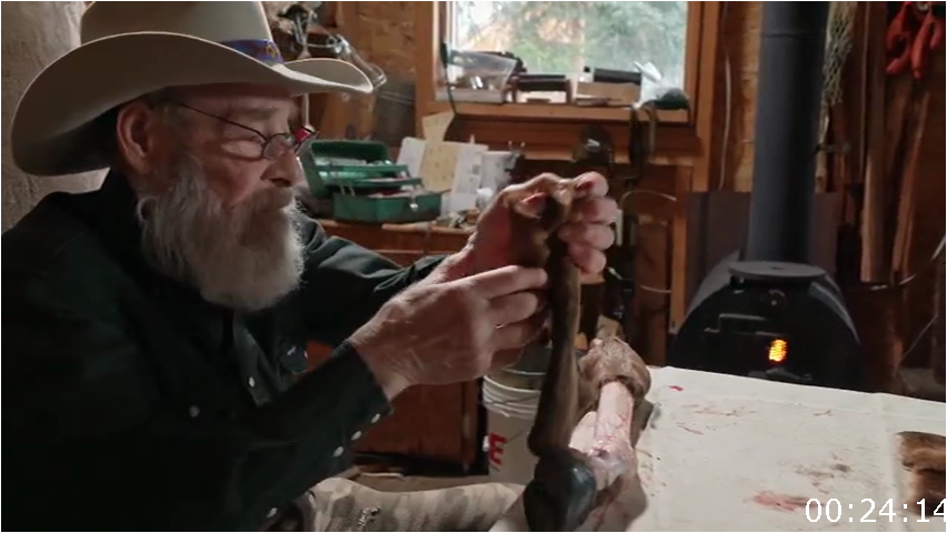 [Image: q5qgg7klg06u.png]