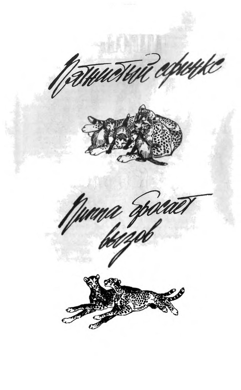 p0005